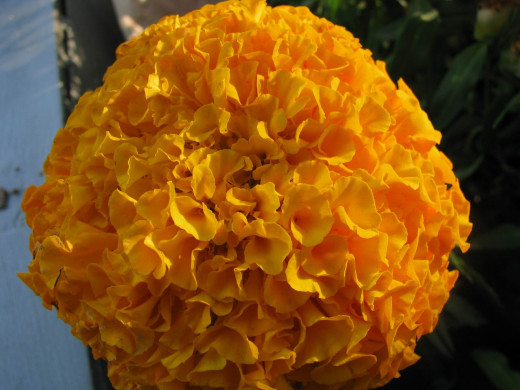 424893 (a): :1600x1200